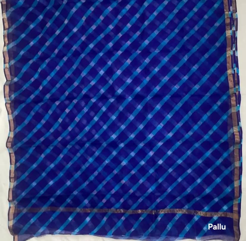 Royal Blue Kota Doria Saree with Golden Woven Border and Check Weave view 4