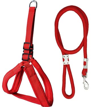 Petshop7 Mesh Padded Nylon Dog Harness & Leash Rope - Small (Chest Size - 25-34inch)