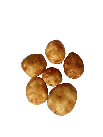 Fresh Potatoes