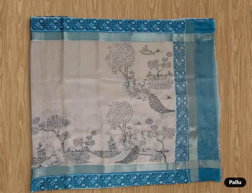 Kota Doria Cotton-Silk Saree, Block-Printed Peacocks with Zari Border view 4