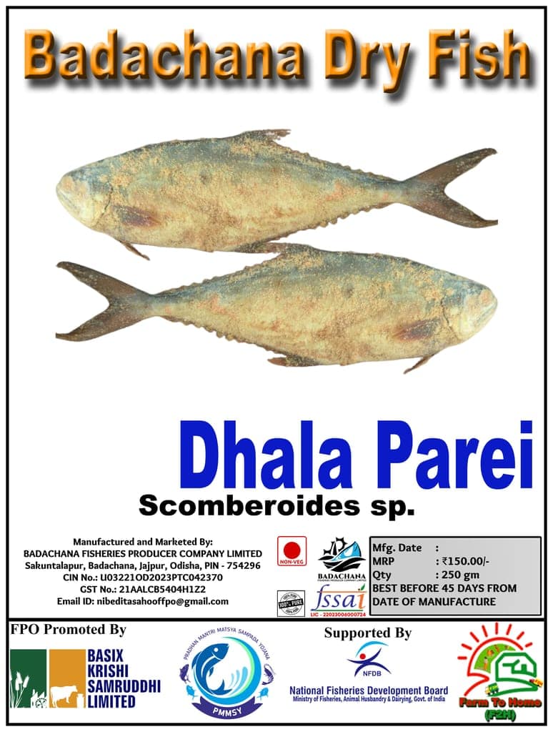 Dhala Parei | Scomberoides sp. | Badachana Dry Fish | 250gm view 3