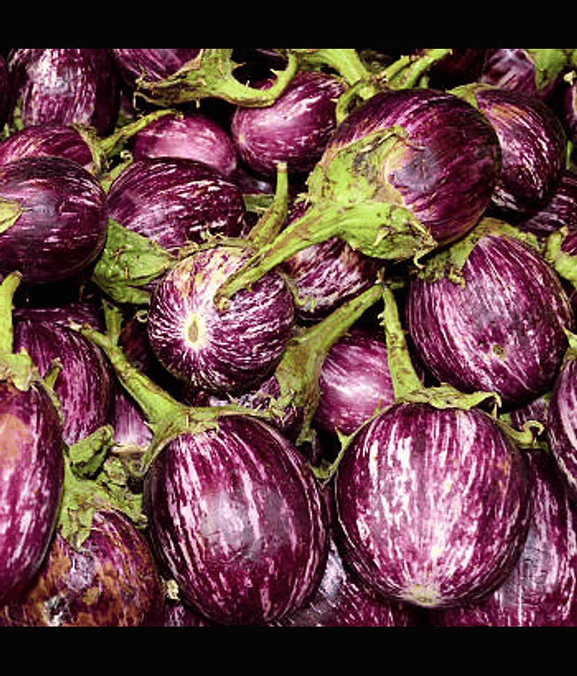 Kateri Brinjal (Baigan ke beej) Vegetable Seeds Pack Of 50 | Organic | for Planting in Home Kitchen Terrace Balcony Gardening