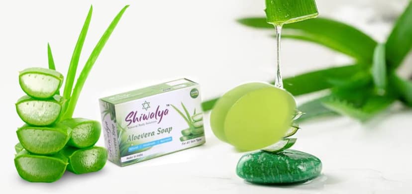 SHIWALYA Natural Aloevera Handmade Soap | Handmade Bathing Soap | Herbal Soap Soft & Radiant Skin | Suitable for All Skin Types (Pack of 4) view 2