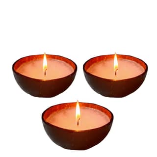 Coconut Shell Candle 150 g / Tea Light