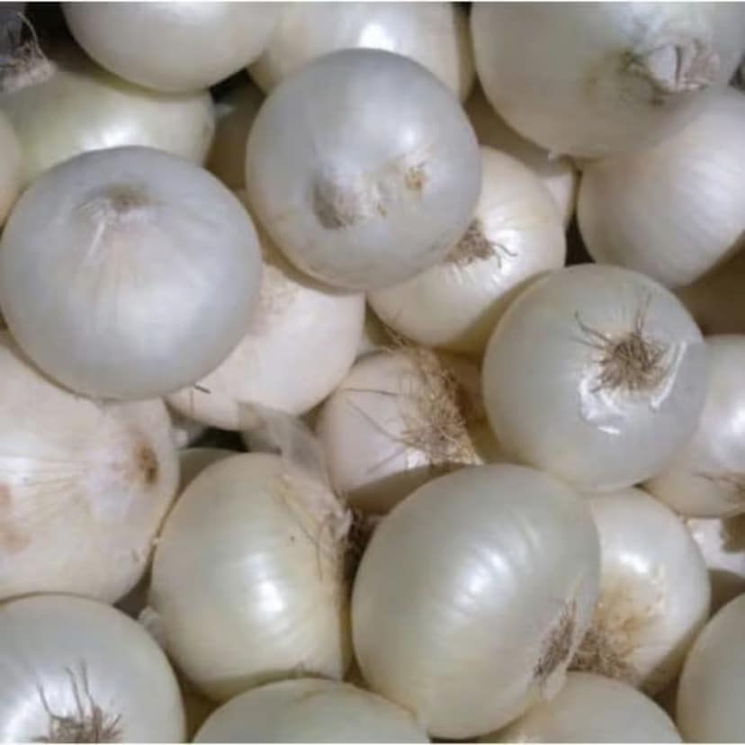 Organic White Onion - Fresh from the Earth (200g) - 200 gm - Fresh White Onions view 2