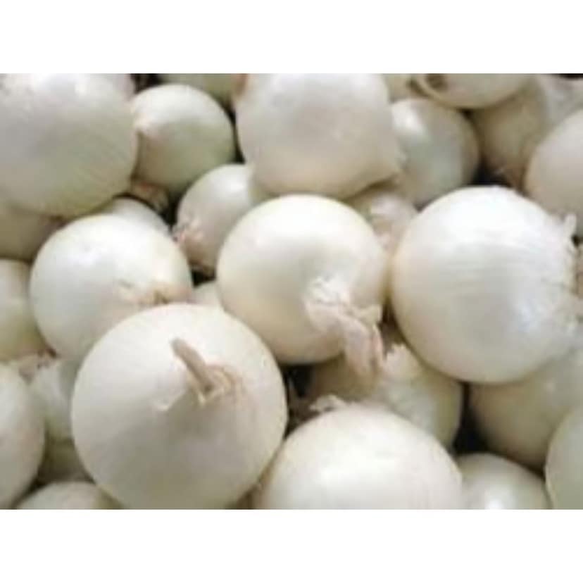 Organic White Onion - Fresh from the Earth (200g) - 200 gm - Fresh White Onions view 3