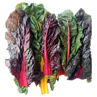 Trikaya Swiss Chard 1 Pack
