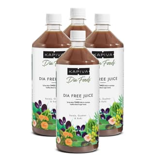Dia Free Juice (4 L) | For Holistic Blood Sugar Care | Amla, Karela, Jamun, Guduchi & 7 More - Pack of 4
