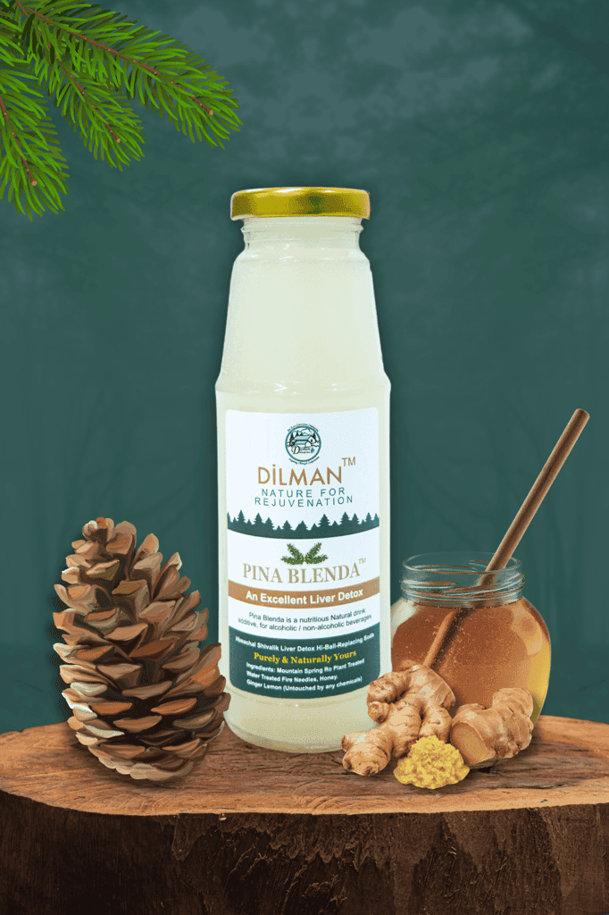 Pina Blenda Liver Detox - Natural Beverage