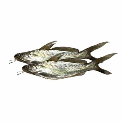 Tengra Dried Fish (Small Sized Catfish)