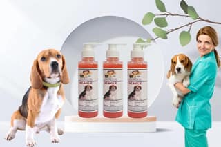 SWACCH Premium Shampoo for Beagle (200ML) (Pack of 3) Jasmine
