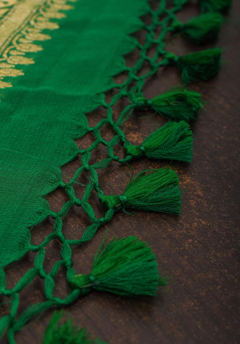 Green Banarasi Pure Chiffon Saree with Alfi Geometric Jaal | SILK MARK CERTIFIED view 9