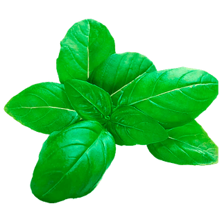 Basil Leaves 150 Gms