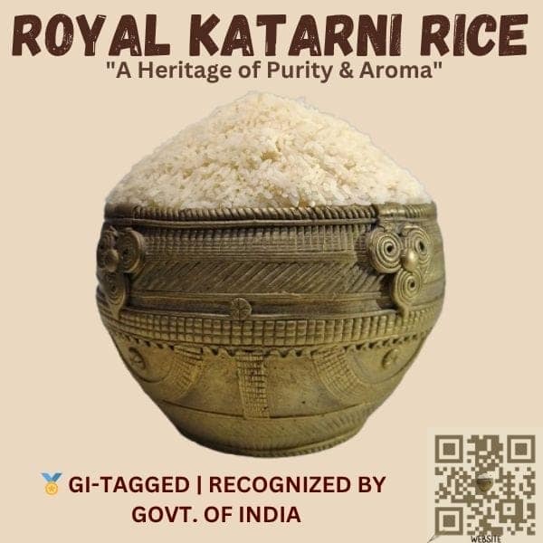 Katarni Rice view 3