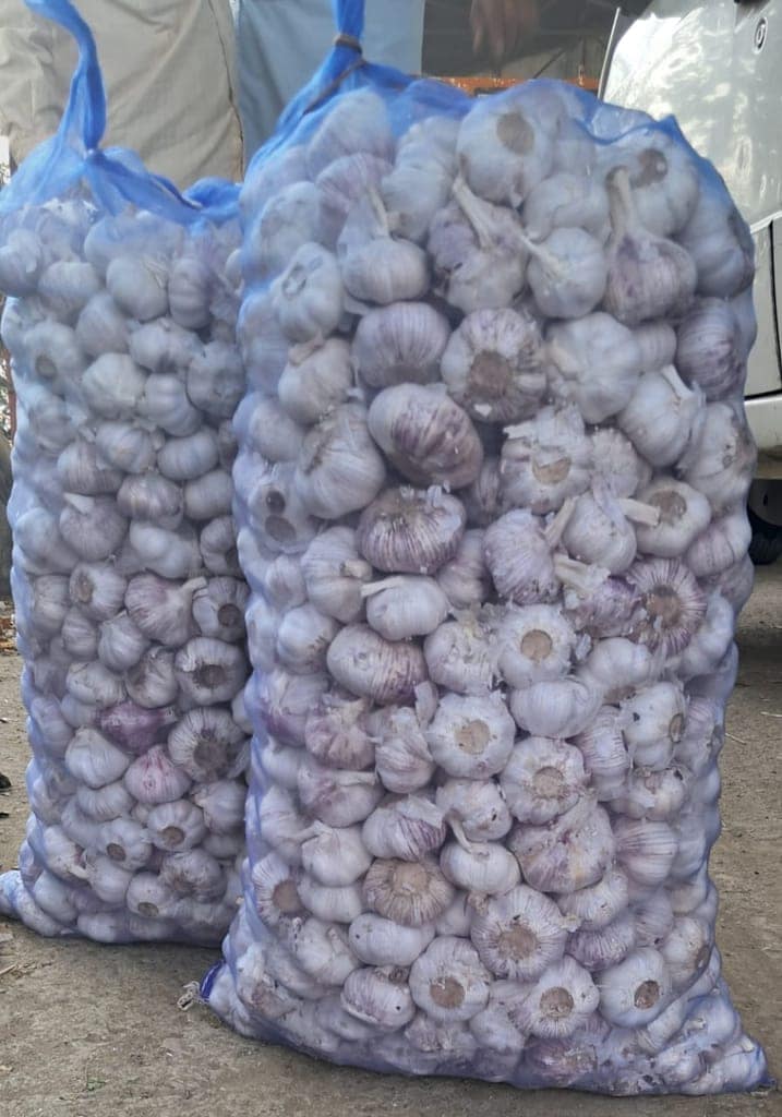 Peeled Garlic view 3