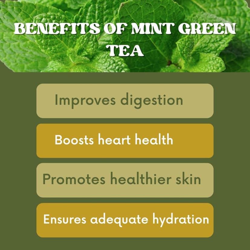 Wemalley Organic Mint Green Tea Teabags 40 grams| Improves Digestion, Skin & Heart Health| Ensures Hydration| Antioxidant| Relieves Stress| 0% Bitterness| 20 Teabags view 2
