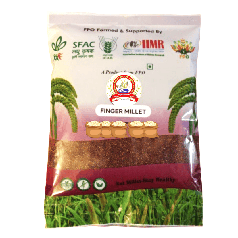Premium Finger Millet | Ragi | Healthy & Nutritious Grain ( Pack of 10 ) view 2