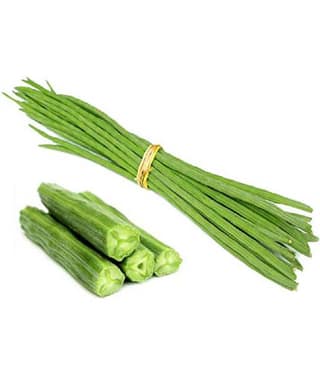 Splendour Seeds Drum Stick–Moringa,Murangai, Saijan ki phalli,Saragavo vegetable seeds (10 Seeds)