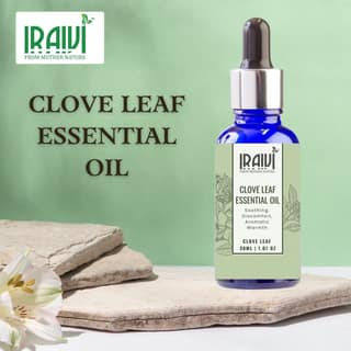 Iraivi Premium Clove Leaf Essential Oil | Pure & Natural by Iraivi Organics