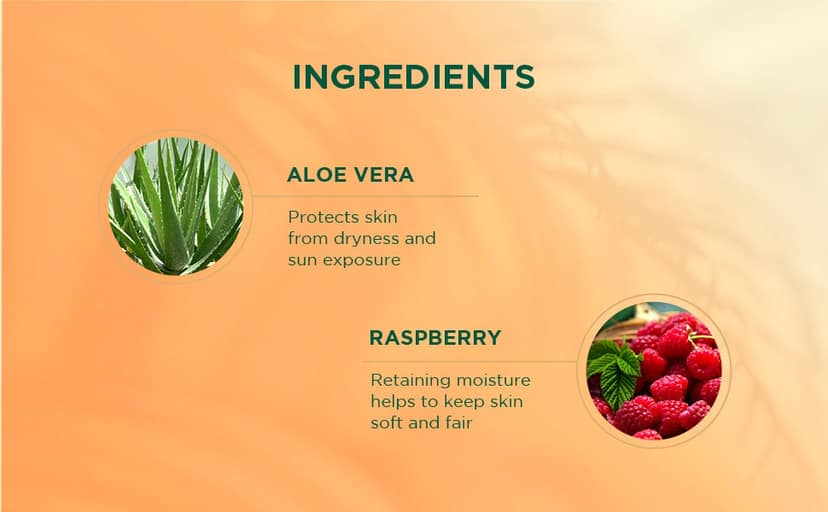 Biotique Aloe Vera & Raspberry SPF 50 Hydra Gel Indian Sunscreen 100g view 2