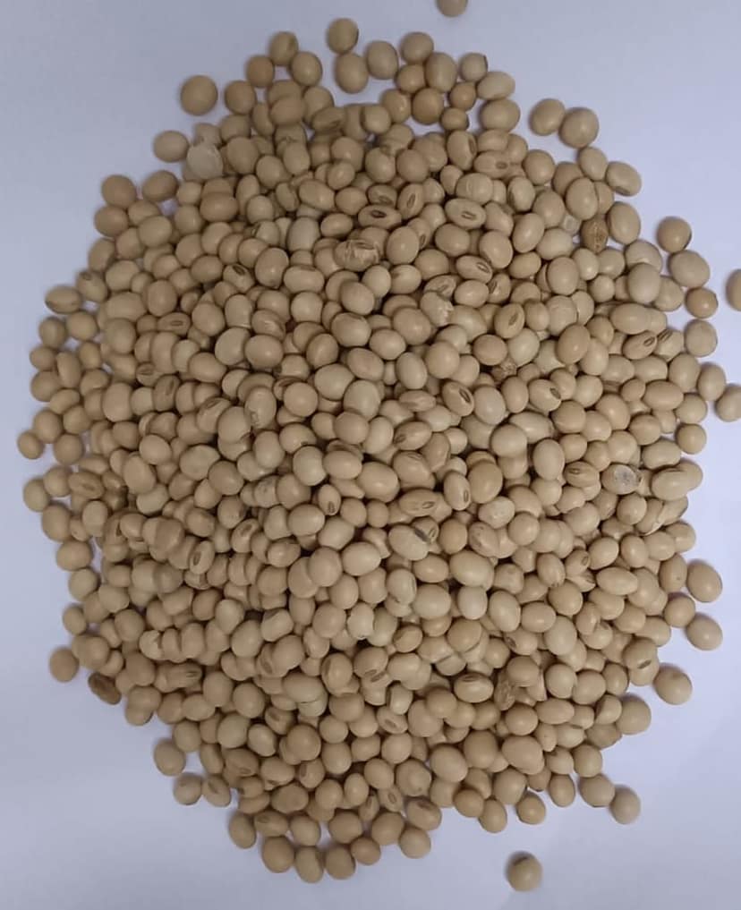 Soybean Loose | 1 kg view 3