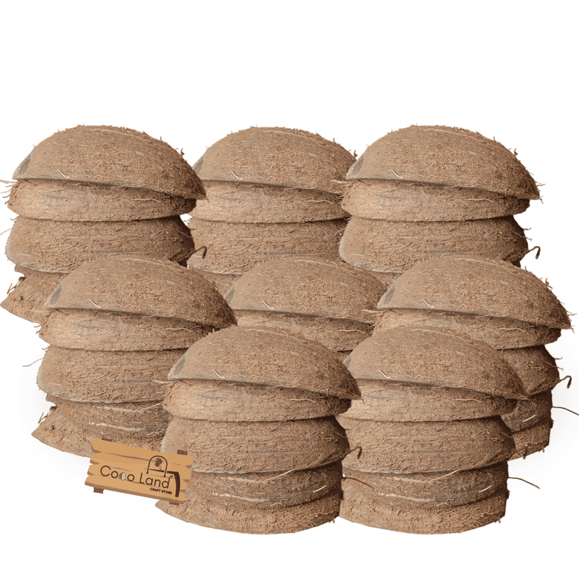 Coco Land Coconut Shell Natural Oval Pot (LARGE SIZE Pack of 30) 250 ml Decorative Pots/Showpieces/Candle Making Bowl /Handicraft/Agro Craft