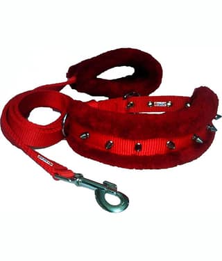 Petshop7 - Blue Combo ( Medium )
