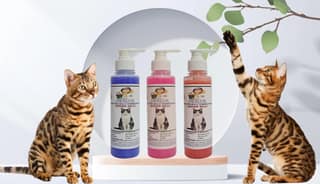 SWACCH Premium Shampoo for Indian Billi (200ML) (Combo Pack of 3) Lavender, Rose & Strawberry