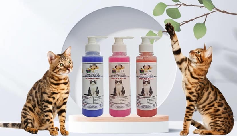 SWACCH Premium Shampoo for Indian Billi (200ML) (Combo Pack of 3) Lavender, Rose & Strawberry