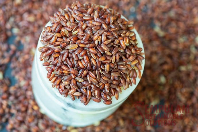 Sooran Kuruvai (Boiled Rice) - 500 Gms