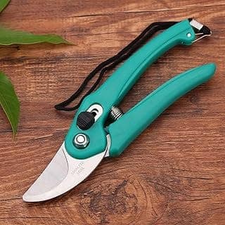 Cinagro Hand Pruner with Steel Blade, Non-Slip Ergonomic Handle, Assorted