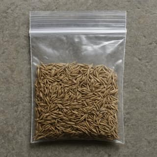 Kunti Provision Store's organic cumin seeds