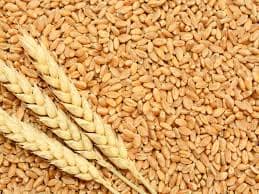 Wheat 1kg