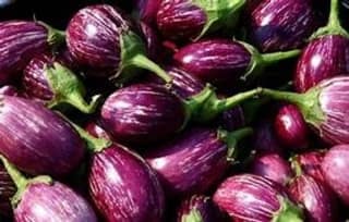 Kateri Purple Brinjal- Baingan - Vangi - 500 gm