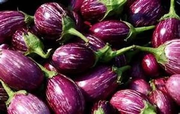 Kateri Purple Brinjal- Baingan - Vangi - 500 gm