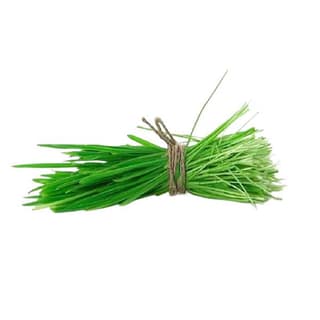 Agrify Fresh Durva Grass 1 Bunch