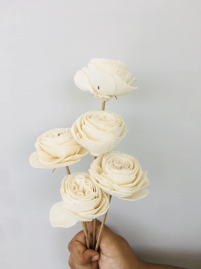 Twist Roses Sola Flower (5pcs)