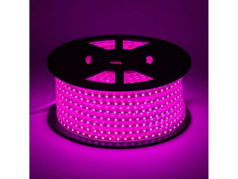 IMAGO 132 LEDs 3m Pink Rice Lights (Pack of 1)