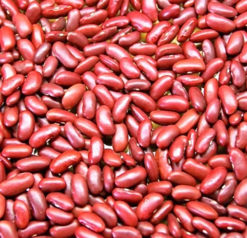 Rajma Red 500 gm