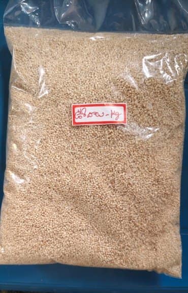 Baryanyard Millet Rice