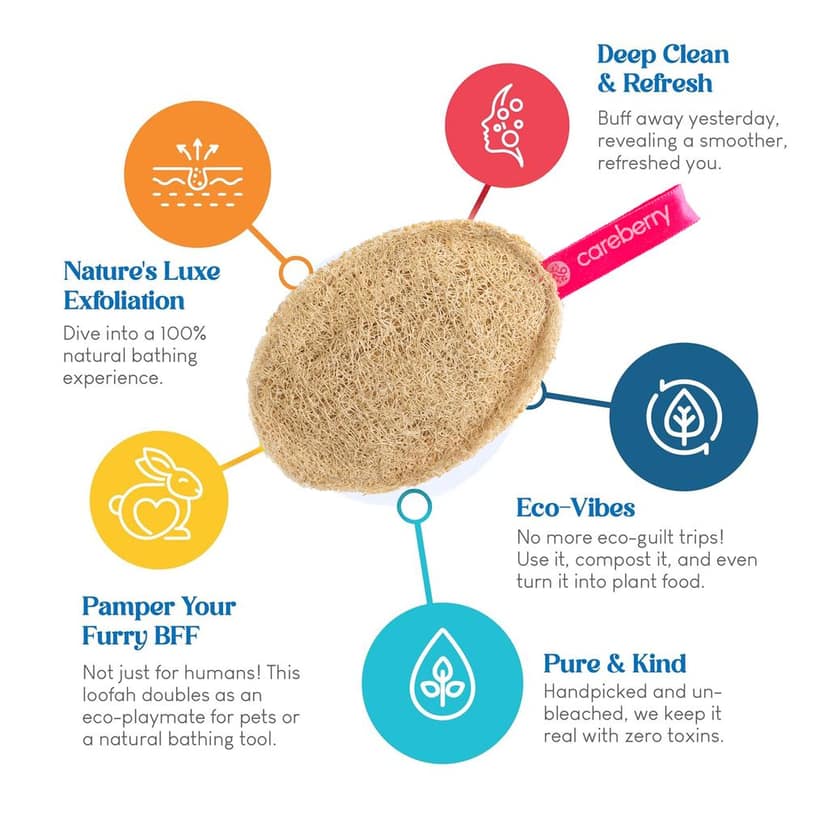 Careberry Eco Friendly Organic Loofah Gentle Exfoliator Sun Dried Luffa, Ideal Daily Body Wash Scrub Pack of 2 view 5