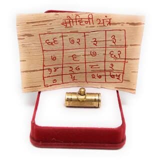 Maha Sarv Sidhi Mohini Yantra Tabiz with Mantra on Bhojpatra 100 Effective Abhimantrit by Guruji