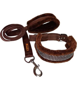 Petshop7 - Brown Combo ( Small )