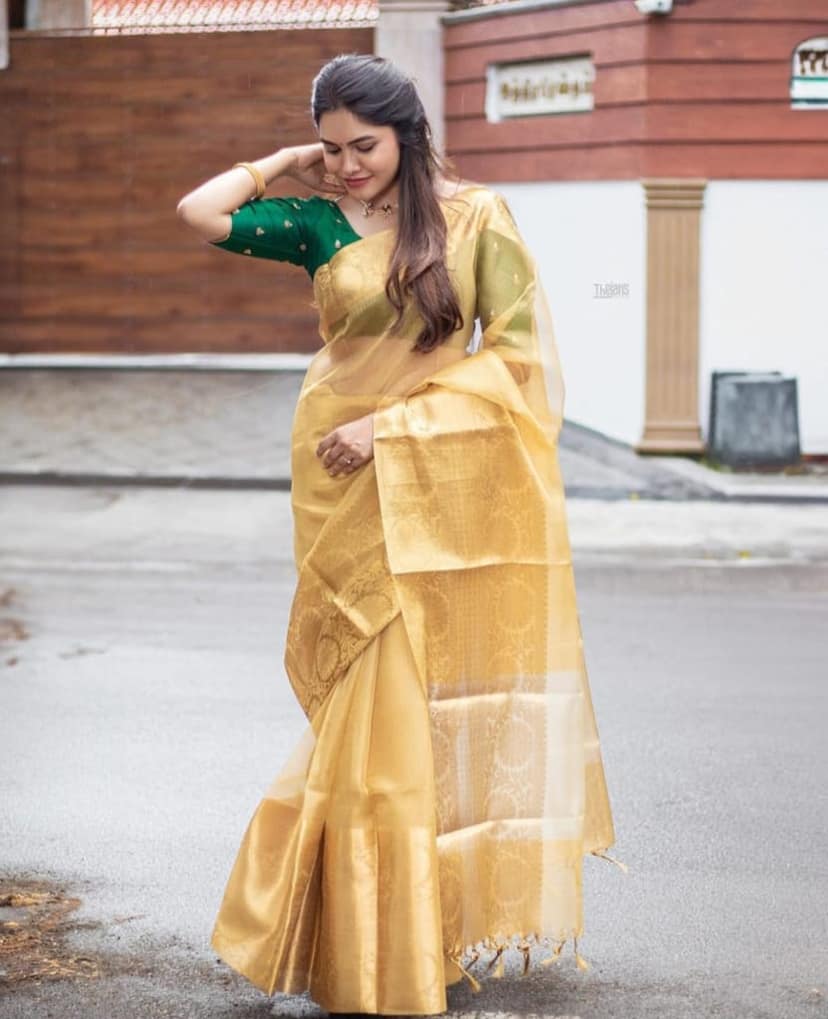 Tissue net Flower Skart Border Gold Saree. view 4