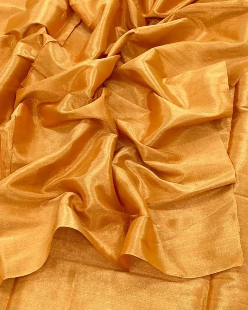 Maheshwari Tissue Silk Saree Golden Beige Color with running blouse-5562 view 2