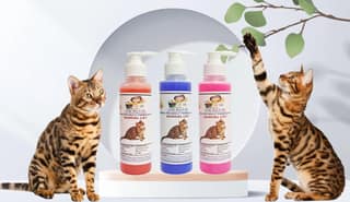 SWACCH Premium Shampoo for Bengal CAT (200ML) (Pack of 3) Jasmine, Lavender & Rose