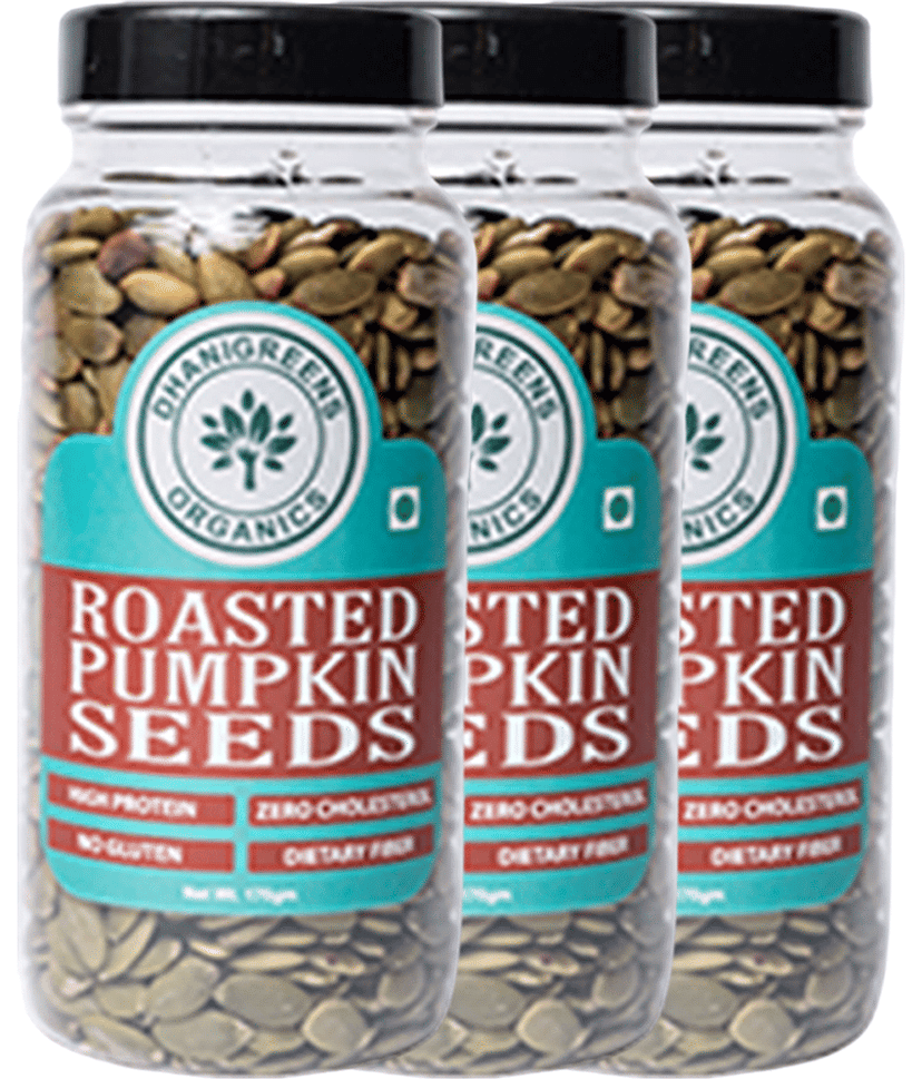DHANIGREENS ORGANICS Pumpkin Seeds 510 g Pack of 3