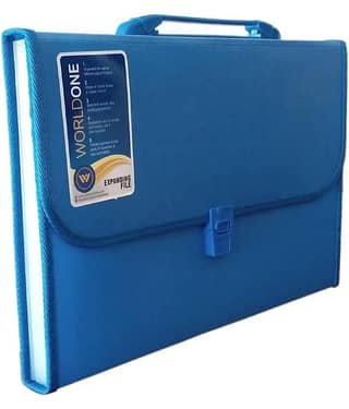 GMPex 13 Pocket File Folder with Handle and Buckle Closure (Mix Color) Assorted/Multicolour File Folder ( Pack of 1 )