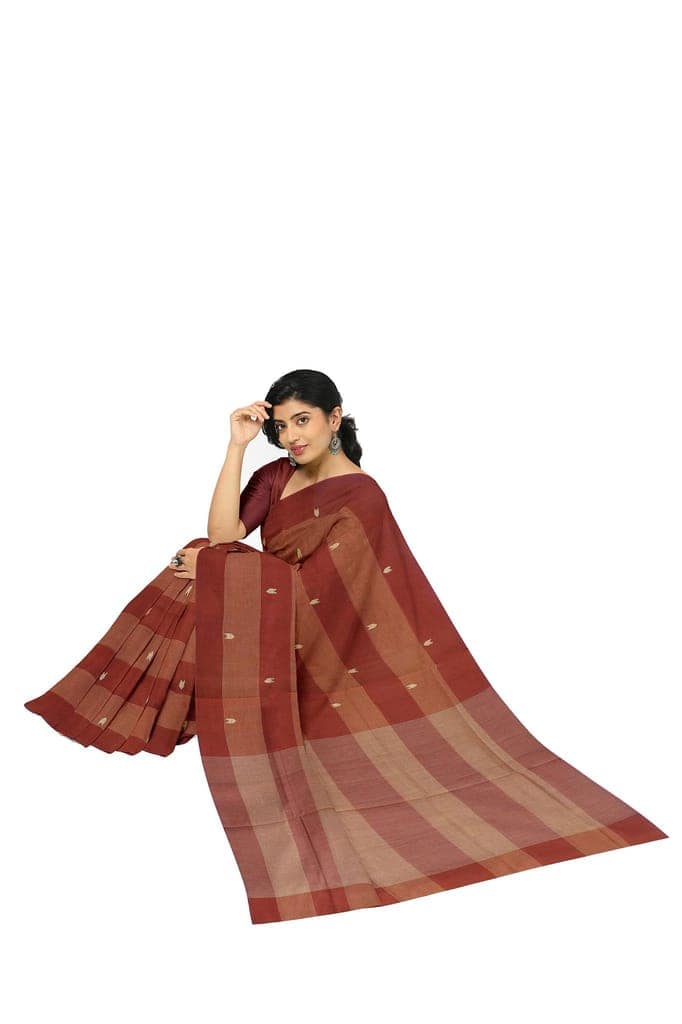 APCO Handloom (A Andhra Pradesh Govt Emporium)- Women's Traditional Pure Handloom Rajahmundry/Angara Cotton Saree | ACS0002 view 4