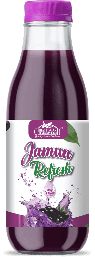 Chhattisgarh Herbals Jamun Juice - Refresh (RTS) | 190 ML